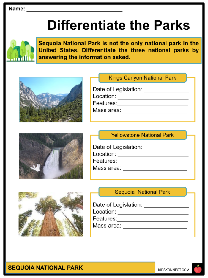 Second grade students searching for favorite national parks on a colorful US map worksheet with all 50 states labeled