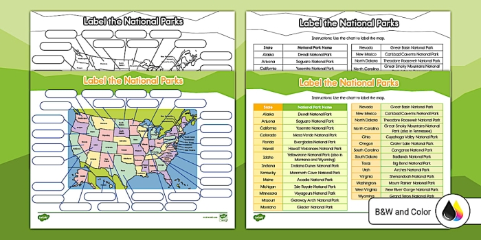 Second grade students learning map reading and algebra skills with a 50 states national parks worksheet