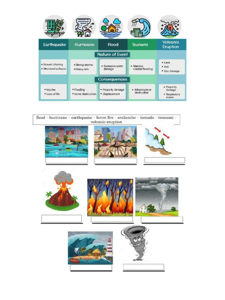 Engaging worksheet on understanding natural disasters and their impact Causes and Effects of Natural Disasters worksheet for fifth-grade students