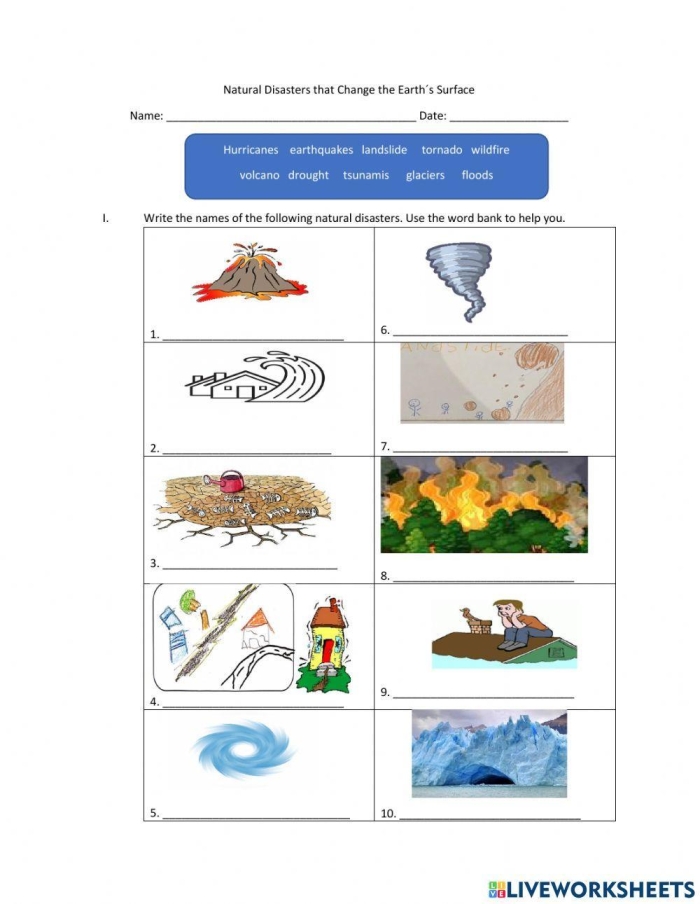 Educational resource for fifth grade on natural disasters and their impacts Worksheet illustrating the causes and effects of various natural disasters for fifth graders