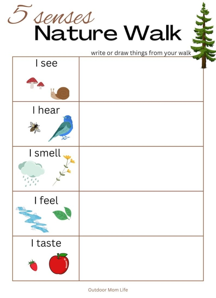 Worksheet for taking notes on a nature walk, featuring prompts for observations of wildlife and plants