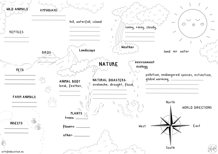 Nature walk worksheet for third graders with prompts for observations and drawings