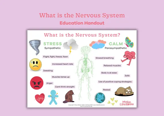Sixth grade life science worksheet covering the anatomy and function of the sensory nervous system part 1