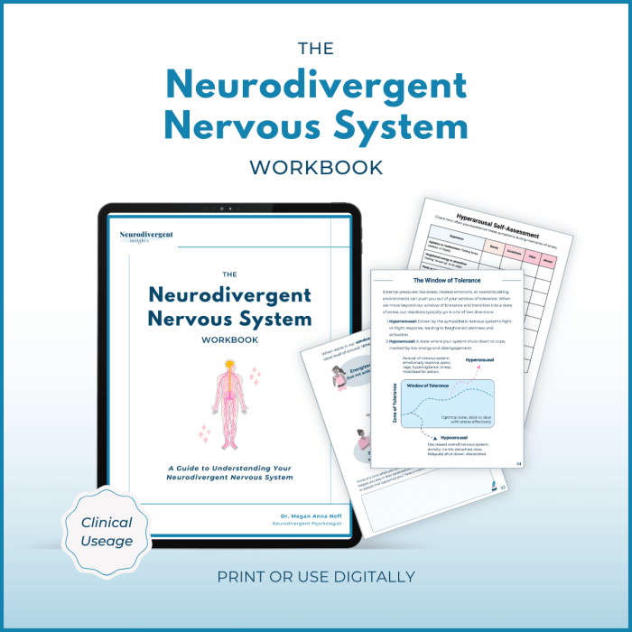 Detailed illustration of the sensory nervous system for a sixth-grade worksheet on the nervous system. Educational resource image for The Nervous System: Part 1 worksheet.