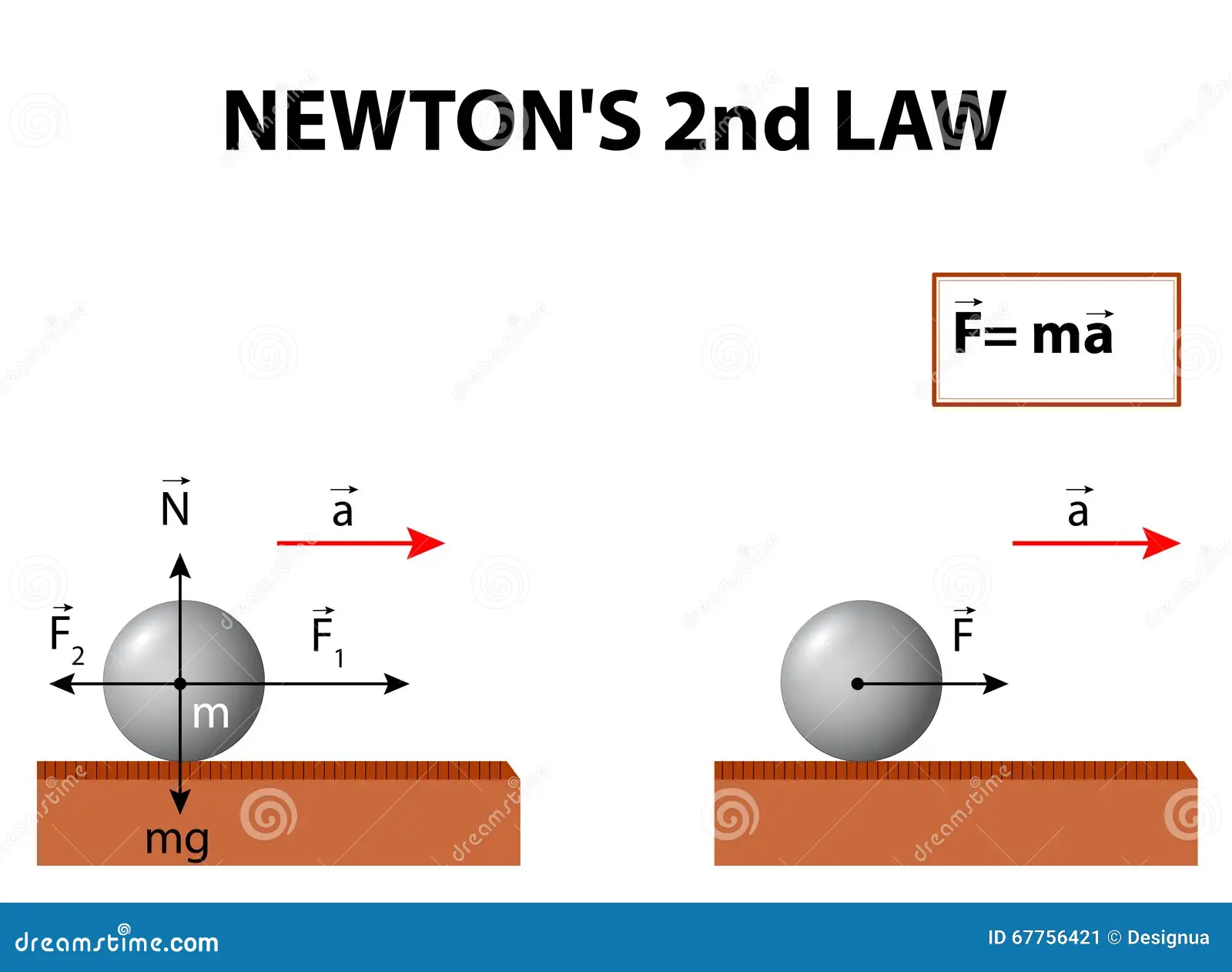Worksheet illustrating Newton's Second Law focusing on mass, force, and motion for sixth graders