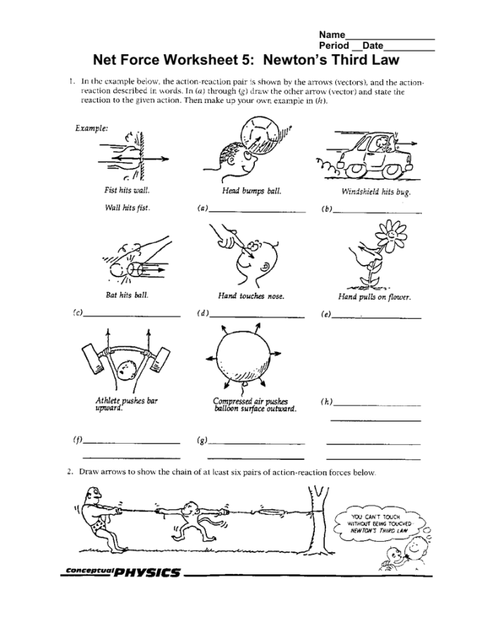 Visual guide for understanding action and reaction forces in fifth-grade science Worksheet illustrating Newton's Third Law of Motion with a playful scene of siblings interacting