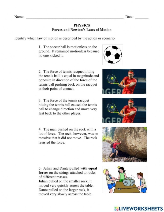 An engaging activity sheet on the concept of action and reaction forces Worksheet illustrating Newton's Third Law of Motion for fifth graders