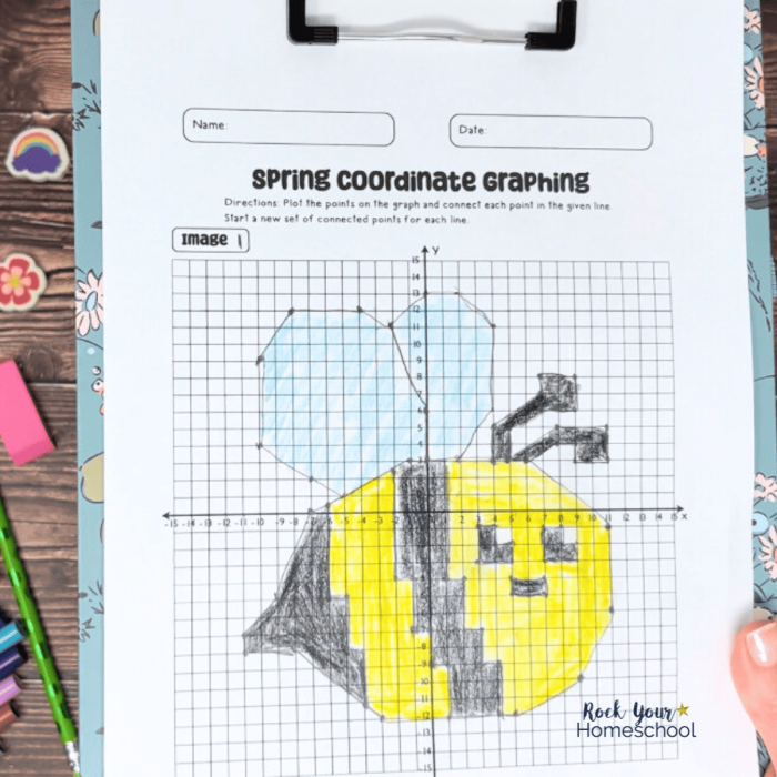 Fifth grade students plotting coordinates on a grid to uncover a nighttime mystery picture in this graphing activity