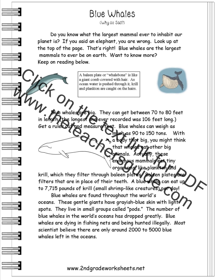 Worksheet featuring the history of cars in America for fourth graders learning nonfiction reading comprehension. Nonfiction Reading Comprehension: History of Cars worksheet for fourth-grade students.