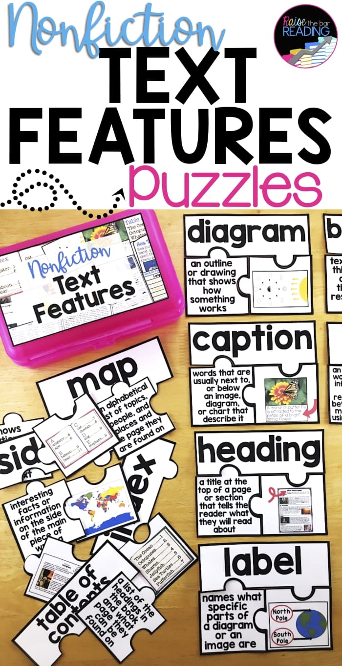 Nonfiction Text Features: Wild, Wild Weather - Third Grade Activity Worksheet for learning nonfiction text features with a focus on extreme weather