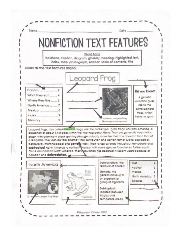 A third grade reading worksheet featuring a kangaroo diagram and comprehension questions about nonfiction text features