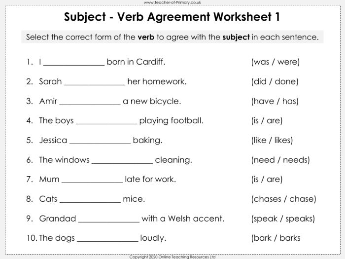 Noun and Verb Agreement worksheet for fourth graders to enhance grammar skills