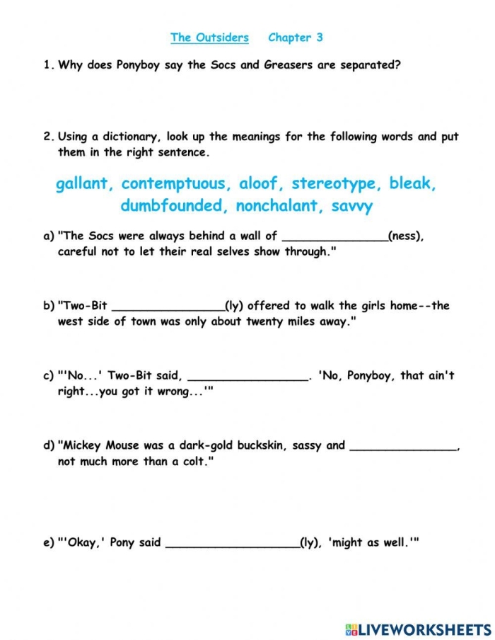 Pre-reading activity worksheet for S.E. Hinton's The Outsiders focusing on stereotypes