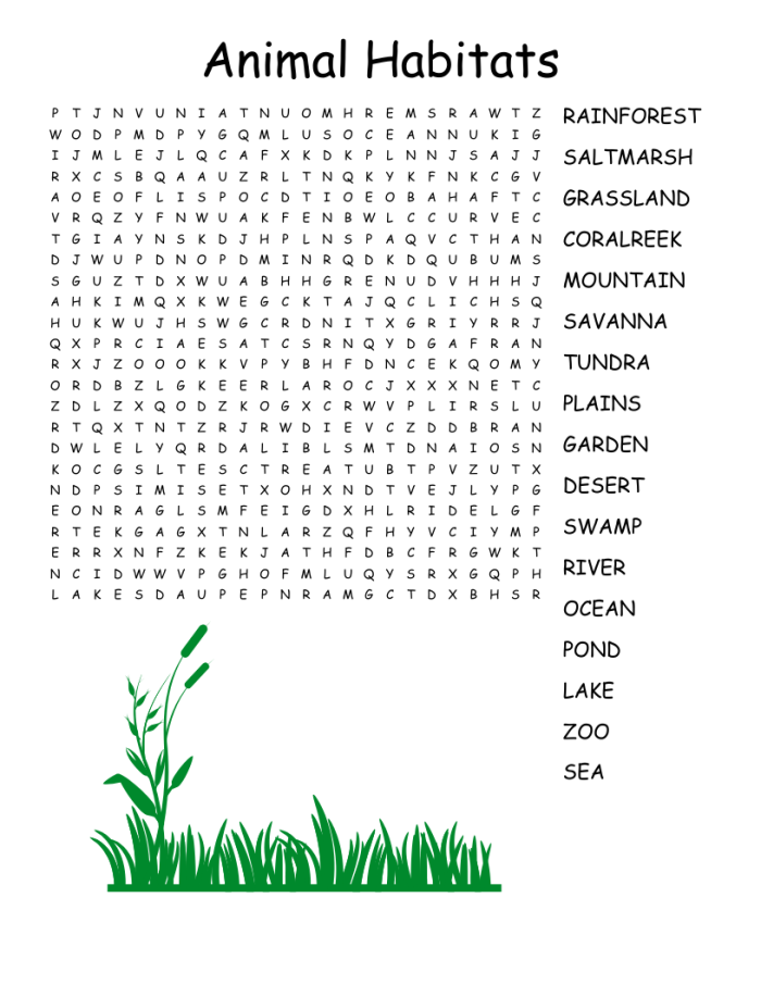 Habitats Word Search Ocean Animals Activity Sheet for Elementary Science Third grade students searching for ocean animal words including blue whale, squid, and shark in a word search puzzle grid