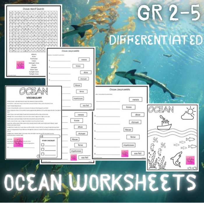 Third grade students identifying main idea and supporting details about ocean facts on a math puzzle worksheet