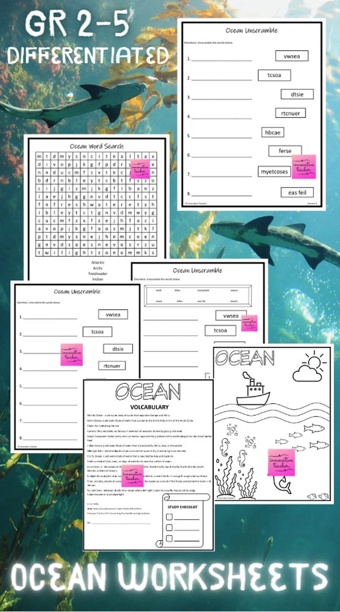 Second grade ocean nonfiction worksheet focusing on vocabulary and author purpose