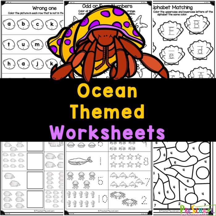 Third grade students completing a learning about the ocean worksheet with main idea and supporting details practice