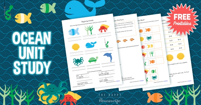 Third grade students complete a nonfiction reading activity about marine life on a Learning About the Ocean worksheet 23