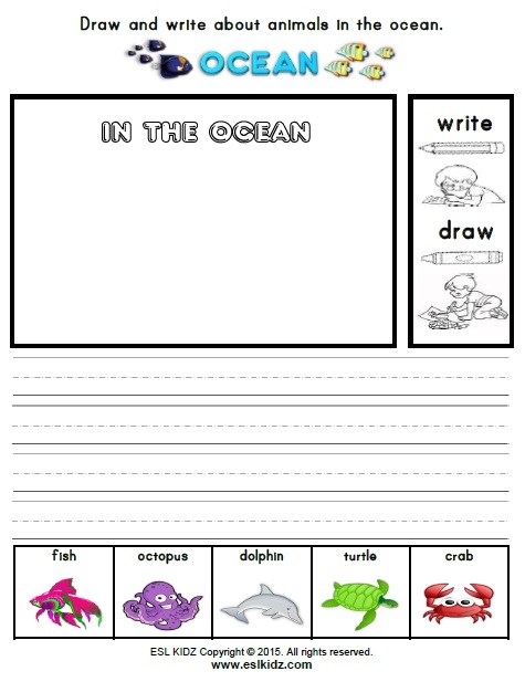 Third grade student filling out a math puzzle worksheet about ocean life facts