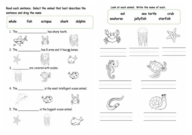 Third grade students identifying main ideas and supporting details in an ocean nonfiction text worksheet puzzle