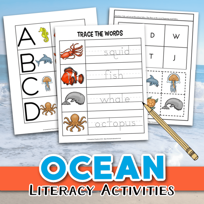 Second grade worksheet featuring nonfiction text about the ocean and reading comprehension questions