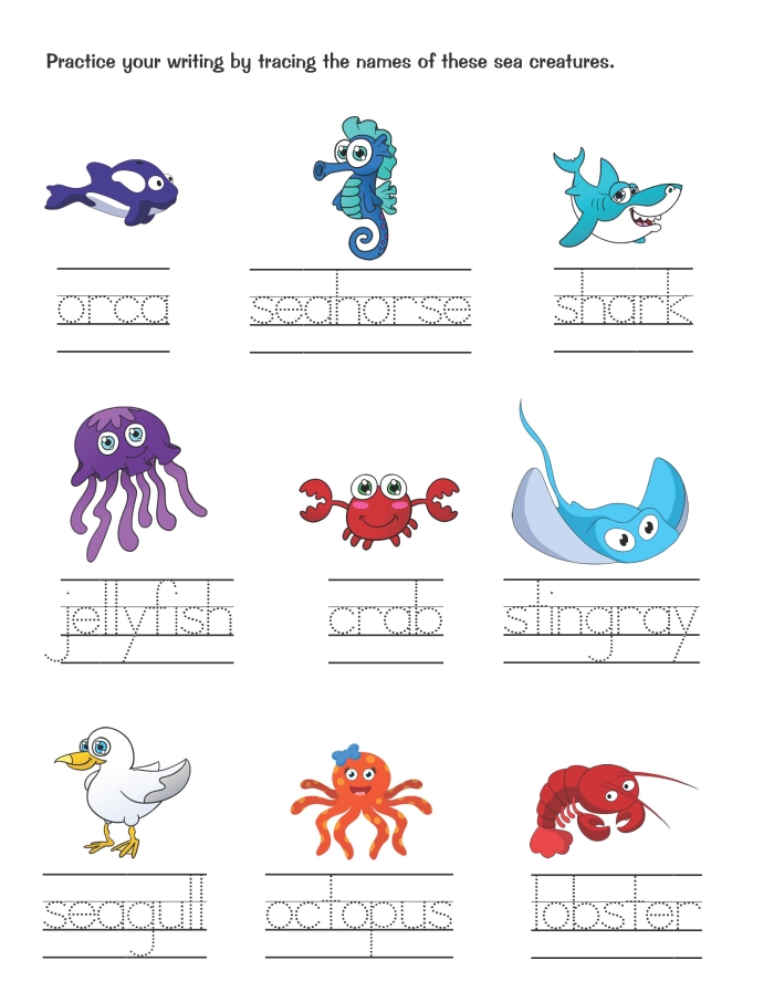 Second grade students reading a nonfiction text about the ocean with comprehension questions about author's purpose and point of view