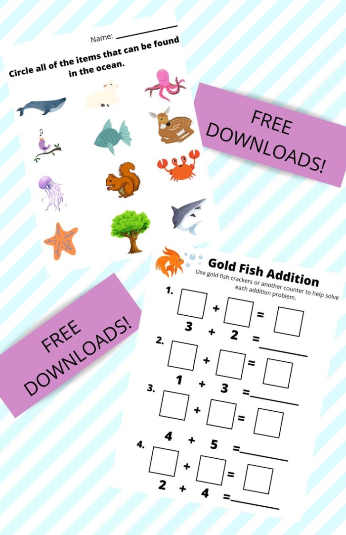 A second grade student worksheet page about the ocean with vocabulary words and comprehension questions highlighted in blue