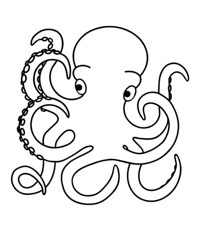 Adorable octopus coloring page worksheet for preschoolers to enjoy