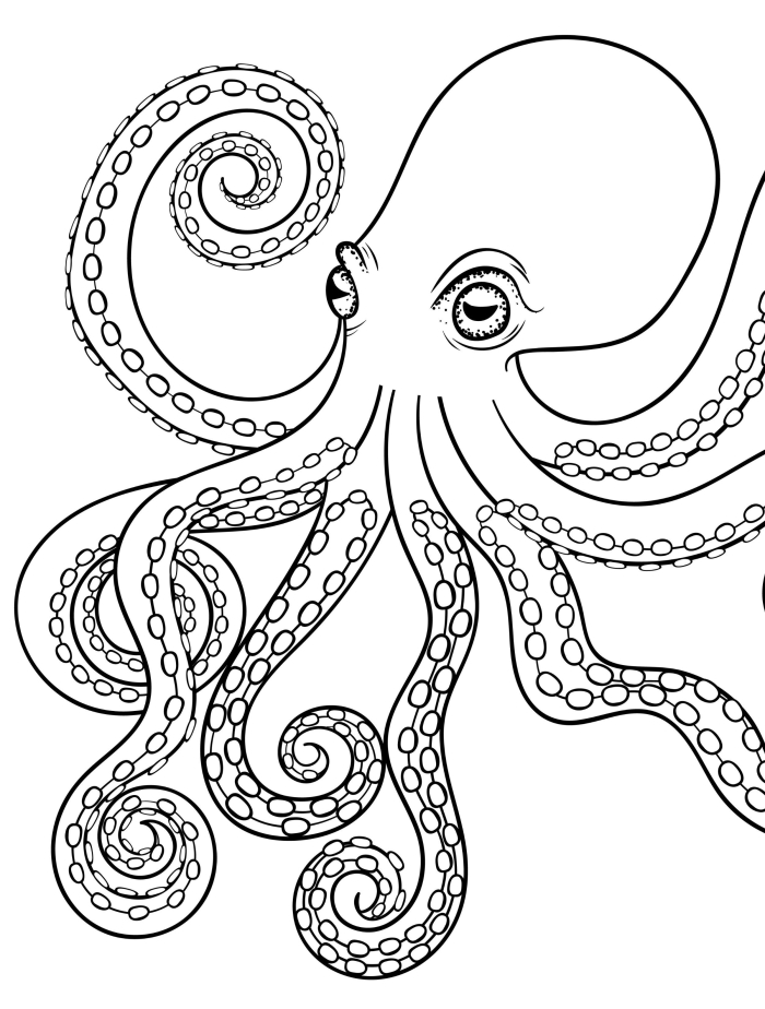 Cute octopus coloring page for preschoolers to enjoy