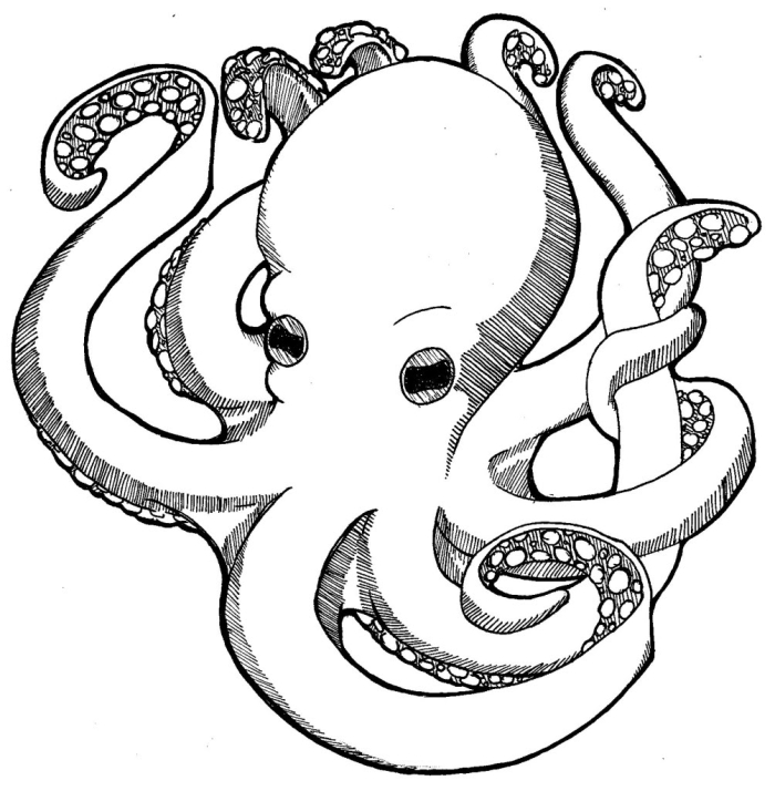 Cute octopus coloring page worksheet for preschoolers to enjoy