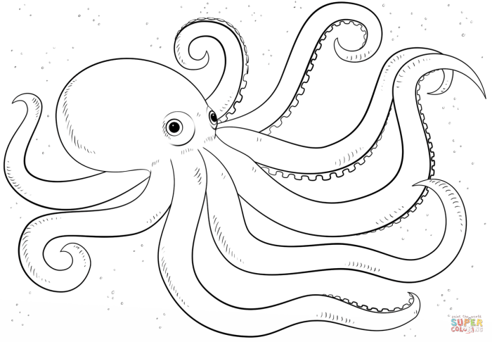 Cute octopus coloring page worksheet for preschoolers to enjoy