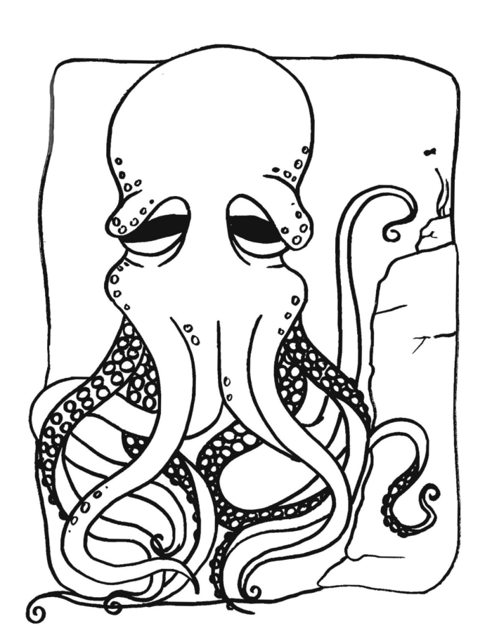 Adorable octopus coloring page worksheet for preschoolers to enjoy