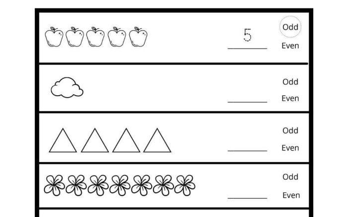 Odds and Evens Math Worksheet Number 12 Students practice identifying odd and even numbers by filling in bubbles on this math worksheet