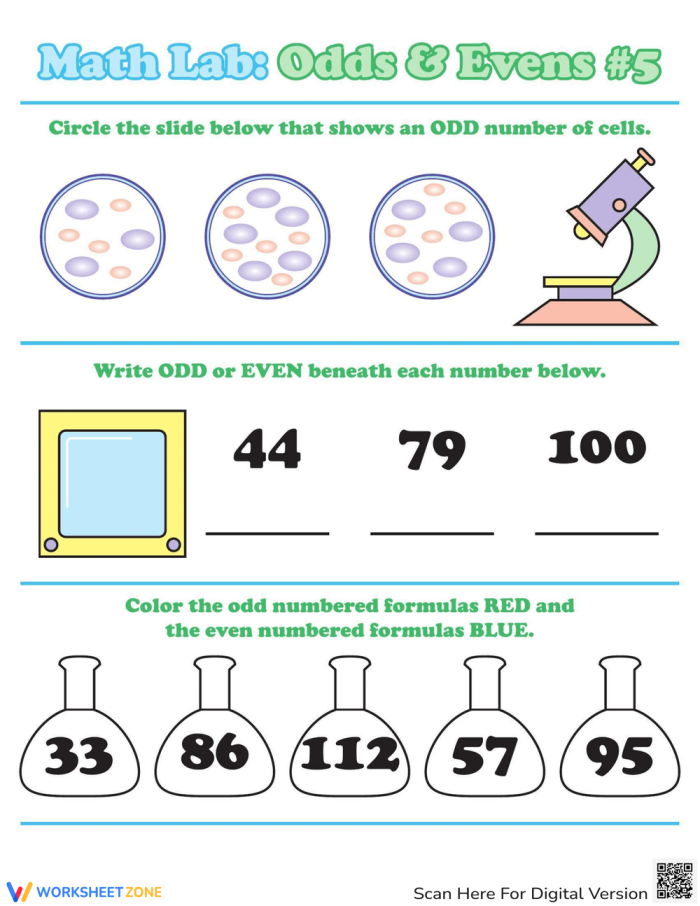 Odds and Evens Worksheet Number 24 Math worksheet for students identifying odd and even one and two-digit numbers by filling in bubbles