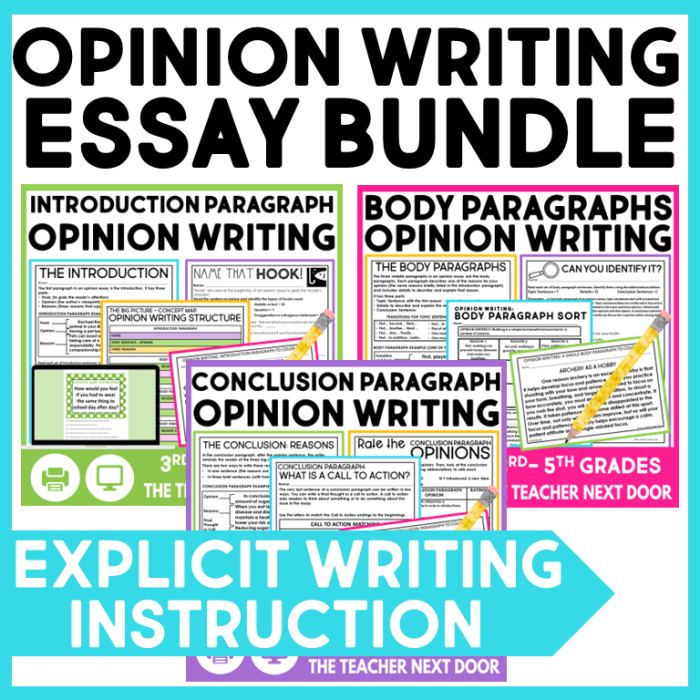 Opinion Essay: Anchor Paper worksheet for analyzing essay components Example of an opinion essay anchor paper for fourth graders studying persuasive writing
