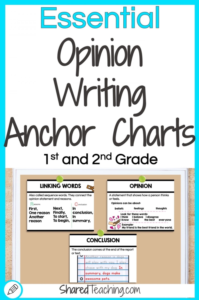 Anchor paper worksheet for dissecting the elements of an opinion essay Example of an opinion essay worksheet for fourth graders focusing on persuasive writing techniques