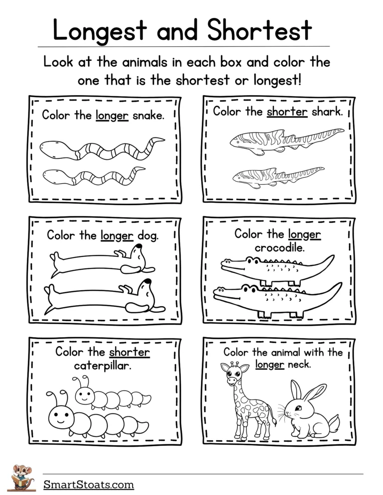 First grade students comparing and ordering objects from shortest to longest length