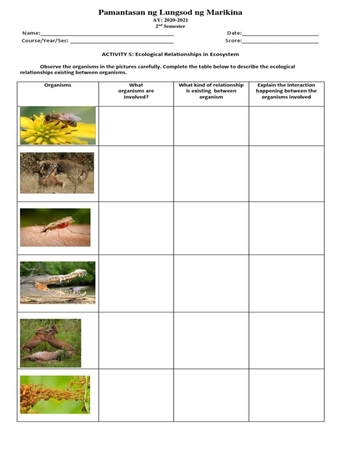 Worksheet illustrating organism interactions in ecosystems for sixth-grade students