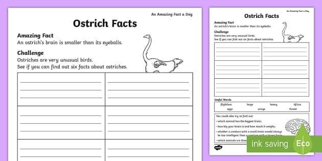 Engaging facts about ostriches for young learners, perfect for a time and money lesson Ostrich worksheet featuring interesting facts for second graders about the world's largest birds that cannot fly