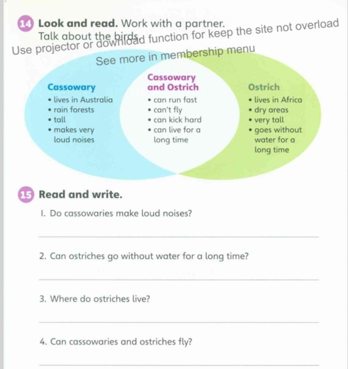 Explore fascinating details about the world's largest bird, the ostrich! Ostrich facts worksheet for second graders focusing on time and money concepts