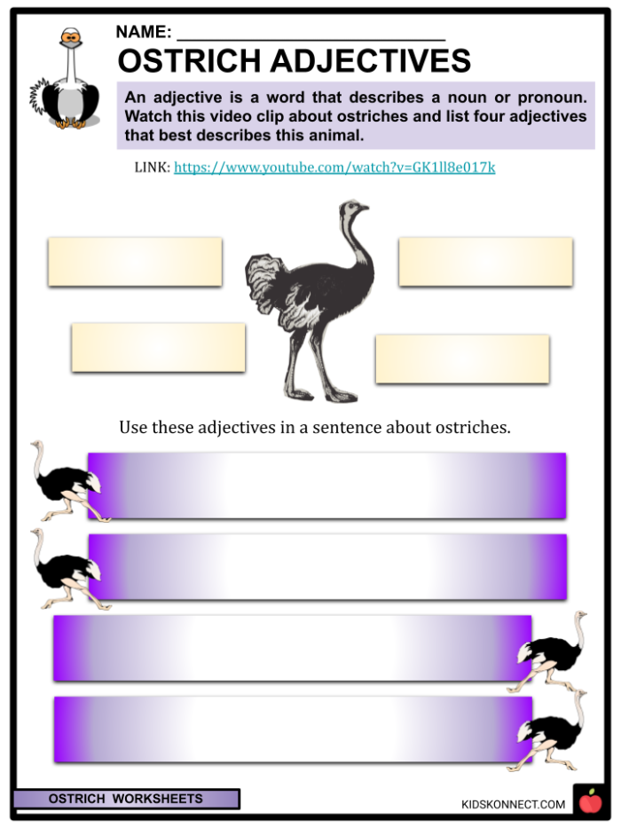 Learn fascinating details about ostriches, the largest flightless birds on Earth Ostrich facts worksheet for second graders focusing on time and money concepts