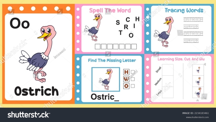 Engaging facts about ostriches for kids in a time and money context Ostrich worksheet for second graders featuring interesting facts about the world's largest birds