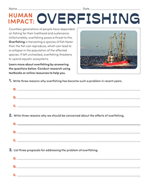 Sixth grade students analyzing overfishing effects on ocean ecosystems through research activities