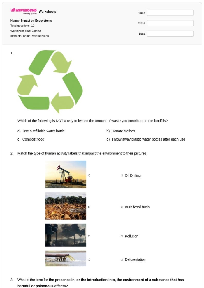 Sixth grade students analyzing overfishing effects on marine ecosystems and environmental sustainability through research activities