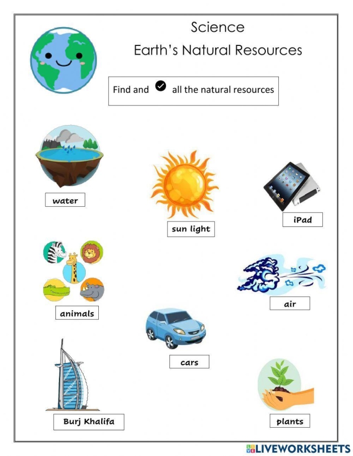 Sixth grade students analyzing overfishing impacts on marine ecosystems through research worksheet activities