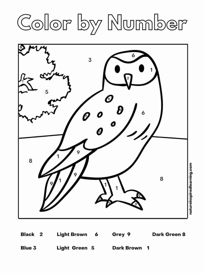 Colorful owl illustration with numbered sections for first graders to practice addition facts
