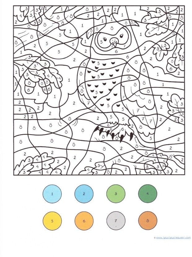 First grade owl color-by-number math worksheet for practicing addition facts