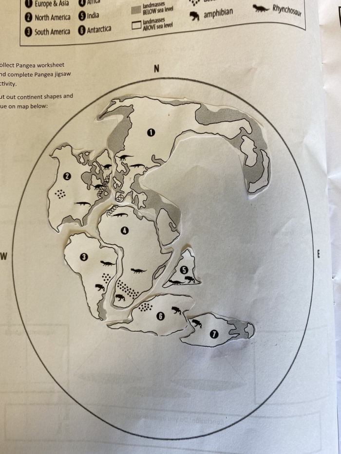 Educational resource highlighting the theory of continental formation through Pangea Pangea worksheet for students studying Earth and Space Science concepts