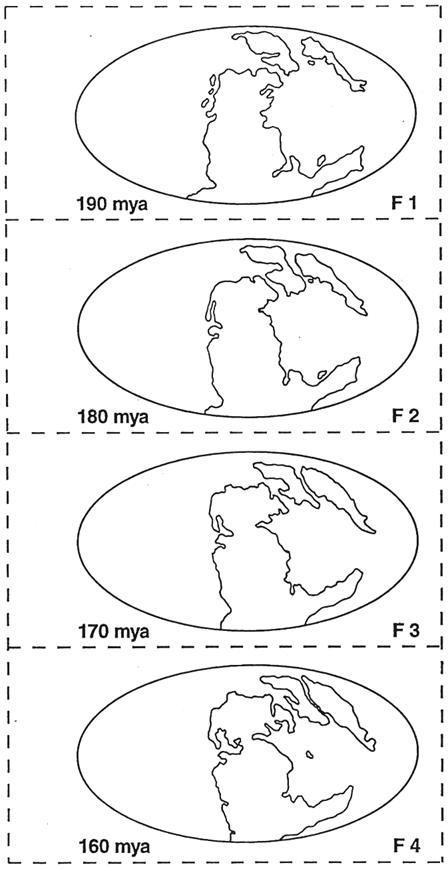 Educational resource for exploring Pangea and its significance in understanding Earth's geography Pangea worksheet illustrating the theory of continental formation for Earth and Space Science students