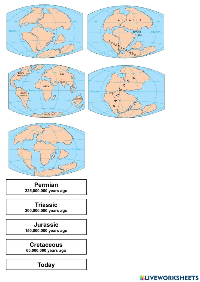 Illustration of the Pangea theory for educational purposes in social studies and science classes Pangea worksheet designed for Earth and Space Science students to explore continental formation